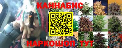 герыч Гатчина
