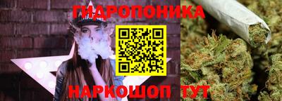 герыч Гатчина