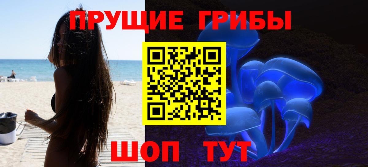 Псилоцибиновые грибы Cubensis  Галлюциногенные грибы прущие грибы  Мурино  Вход с VPN 