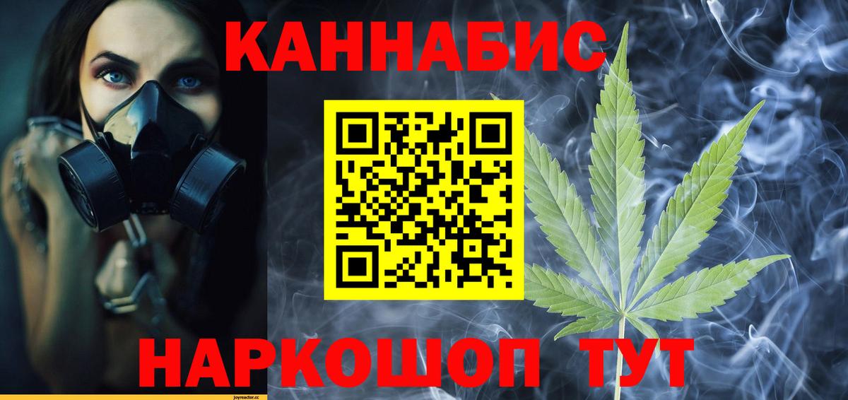 Канабис конопля Мурино